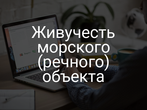 Живучесть морского (речного) объекта