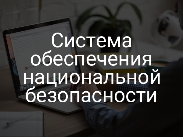 Система обеспечения национальной безопасности