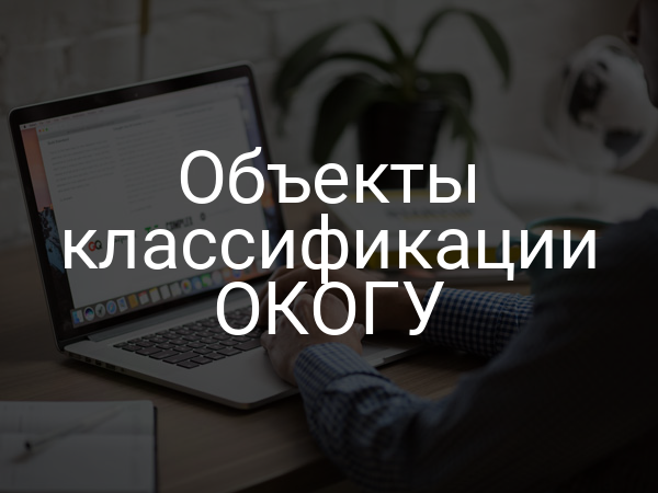 Объекты классификации ОКОГУ