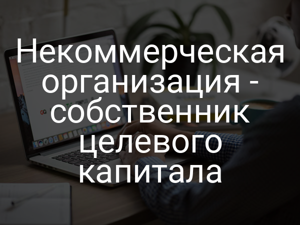 Некоммерческая организация - собственник целевого капитала