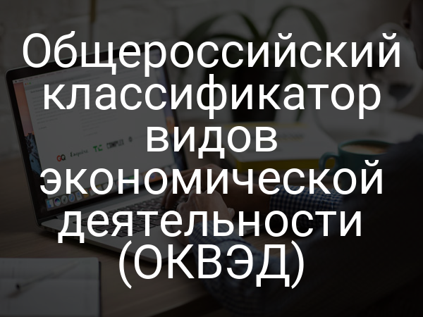 Общероссийский классификатор видов экономической деятельности (ОКВЭД)