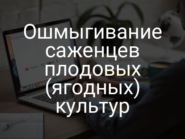 Ошмыгивание саженцев плодовых (ягодных) культур