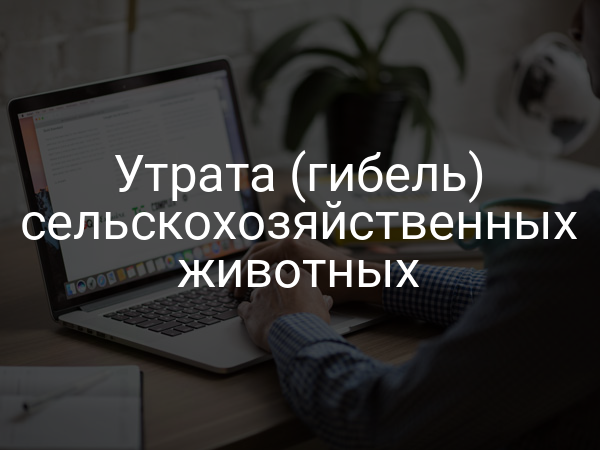 Утрата (гибель) сельскохозяйственных животных