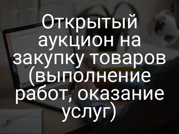 Открытый аукцион на закупку товаров (выполнение работ, оказание услуг)