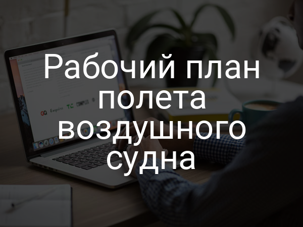 Рабочий план полета воздушного судна