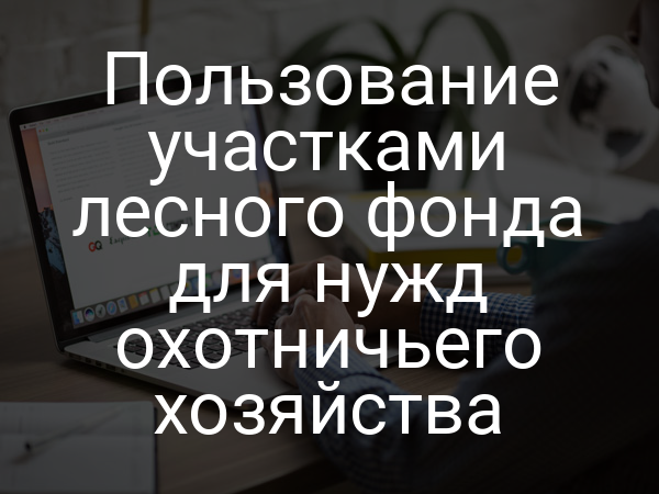 Пользование участками лесного фонда для нужд охотничьего хозяйства