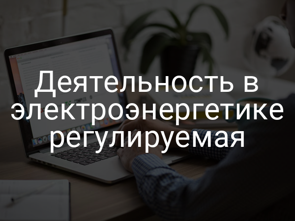 Деятельность в электроэнергетике регулируемая