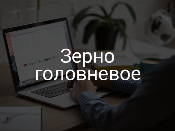 Зерно головневое