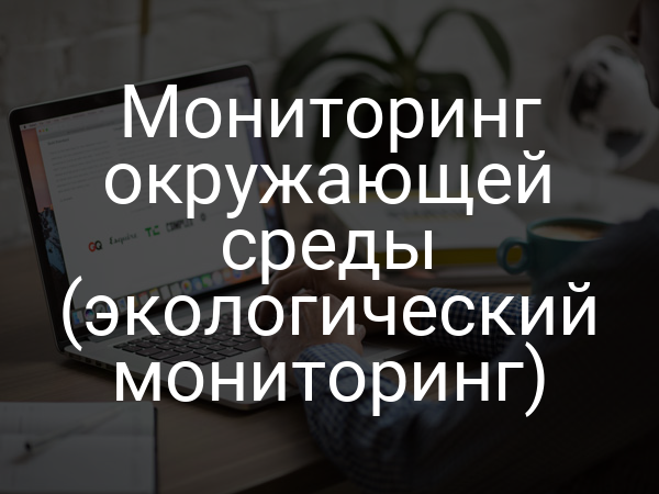 Мониторинг окружающей среды (экологический мониторинг)