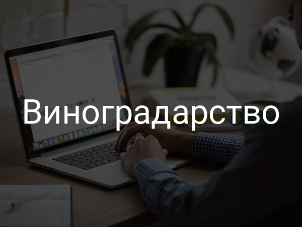 Виноградарство