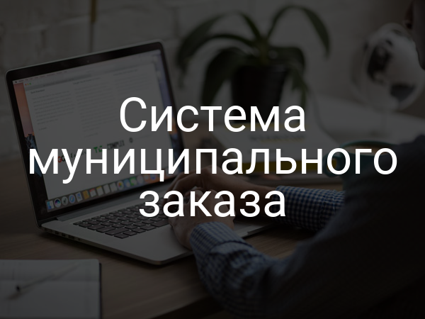 Система муниципального заказа