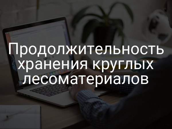 Продолжительность хранения круглых лесоматериалов