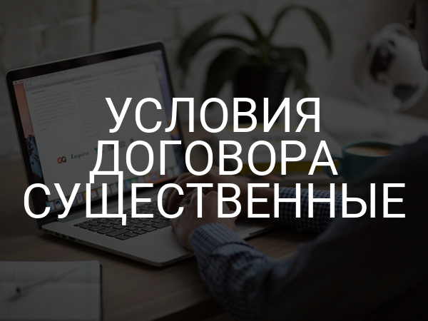 Условия договора существенные