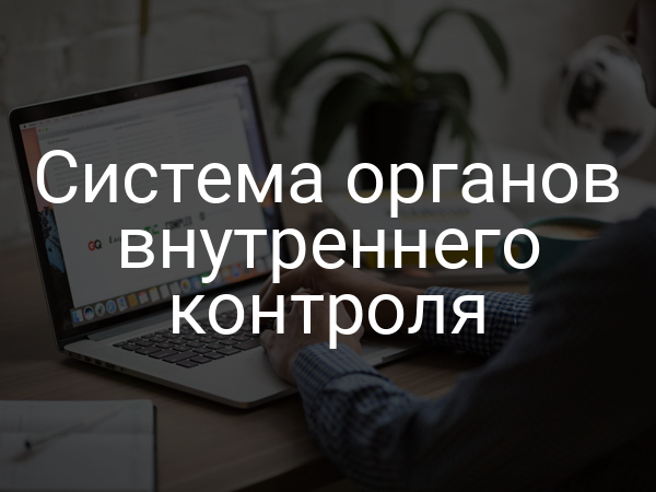Система органов внутреннего контроля