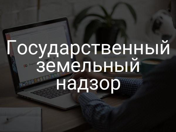 Государственный земельный надзор
