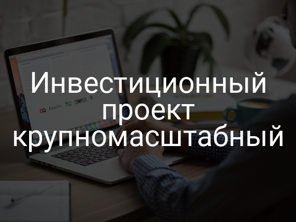 Инвестиционный проект крупномасштабный