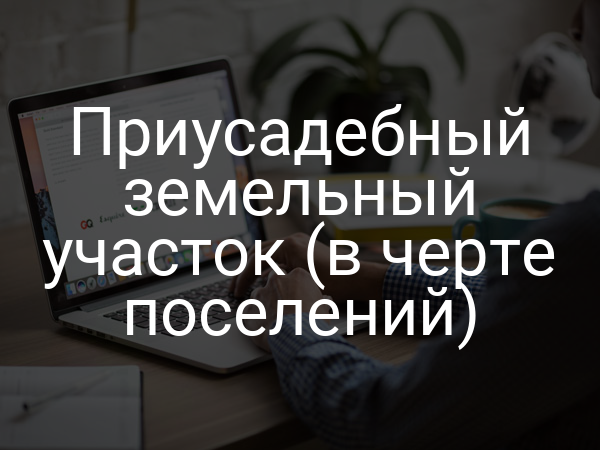 Приусадебный земельный участок (в черте поселений)