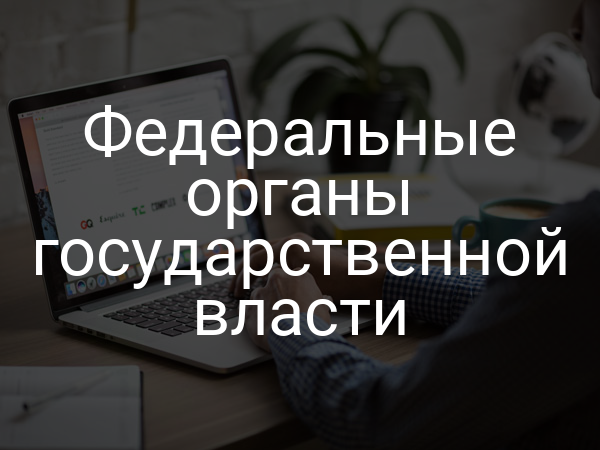 Федеральные органы государственной власти