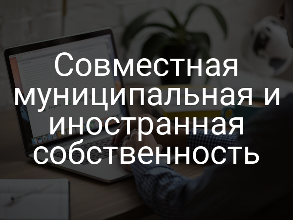Совместная муниципальная и иностранная собственность