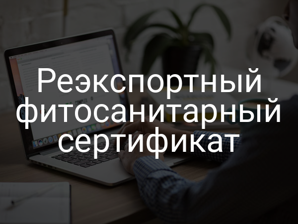 Реэкспортный фитосанитарный сертификат