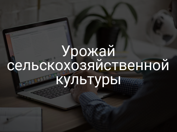 Урожай сельскохозяйственной культуры