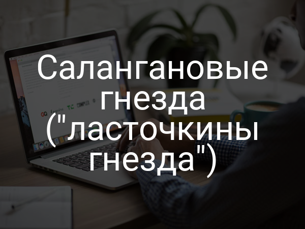 Салангановые гнезда ("ласточкины гнезда")