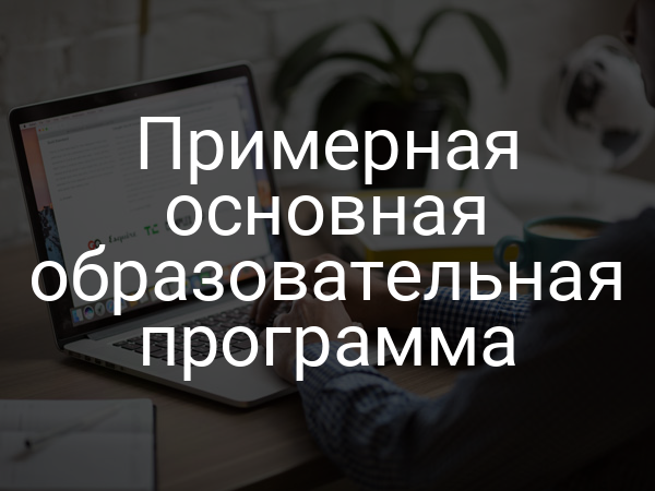 Примерная основная образовательная программа
