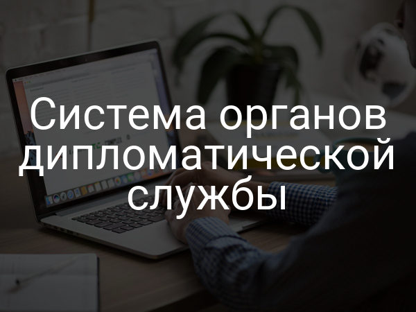 Система органов дипломатической службы