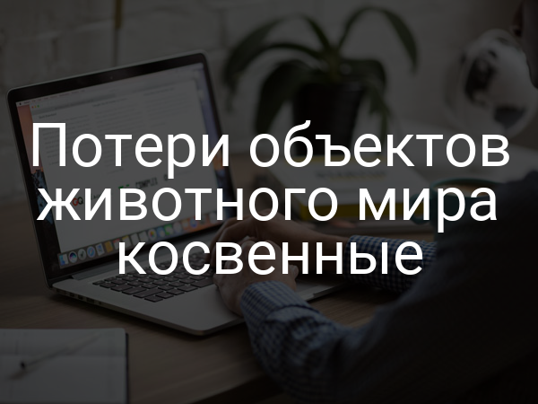 Потери объектов животного мира косвенные