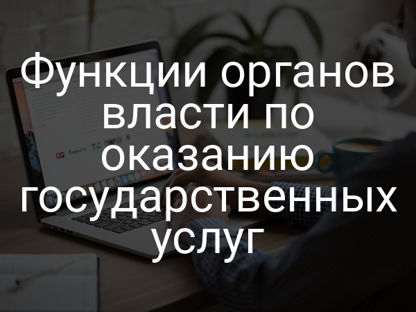 Функции органов власти по оказанию государственных услуг