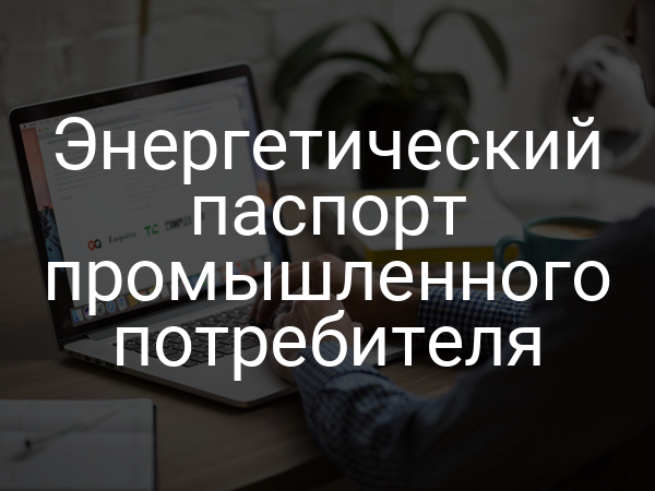 Энергетический паспорт промышленного потребителя