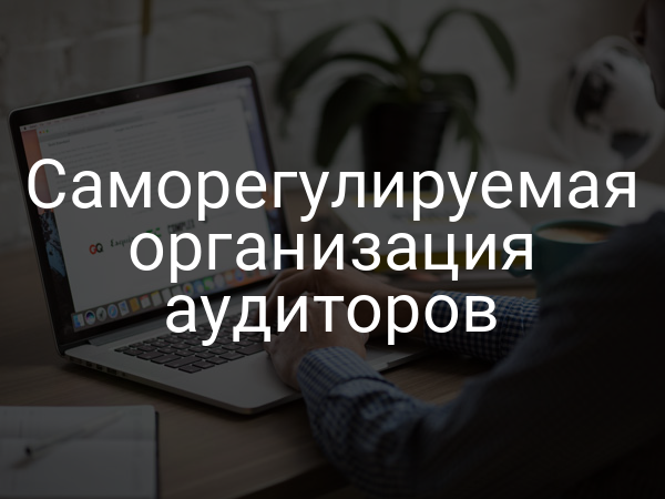 Саморегулируемая организация аудиторов