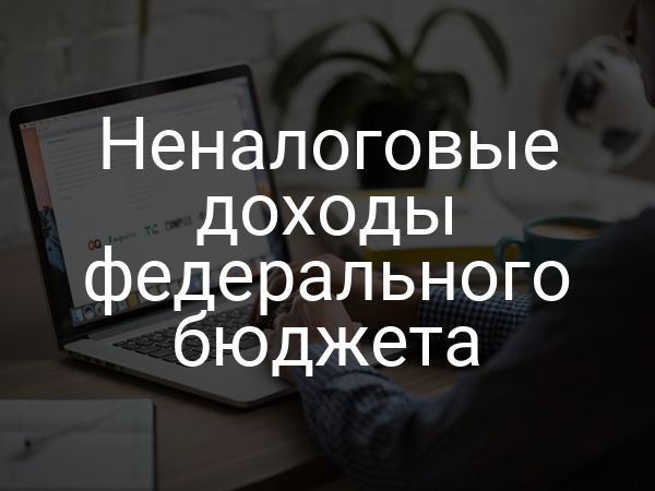 Неналоговые доходы федерального бюджета