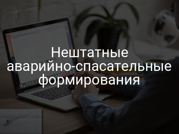 Нештатные аварийно-спасательные формирования