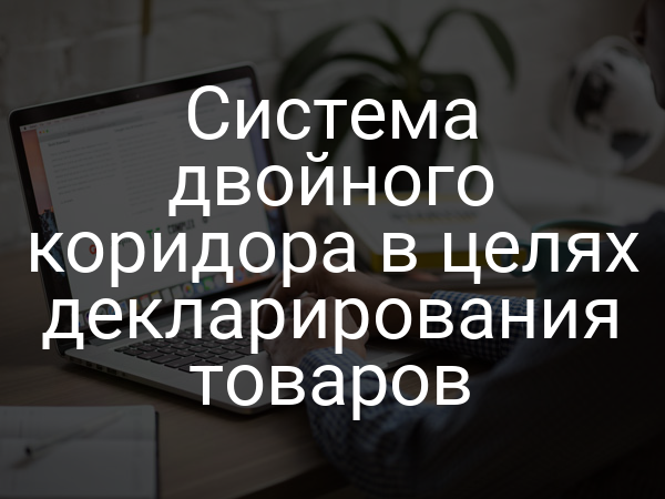 Система двойного коридора в целях декларирования товаров