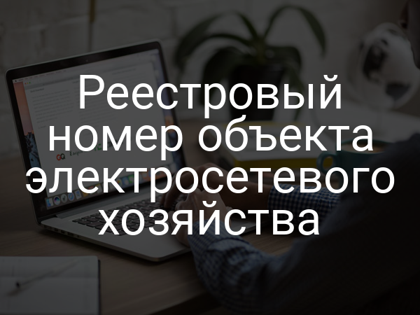 Реестровый номер объекта электросетевого хозяйства