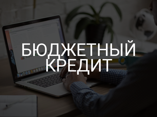Бюджетный кредит