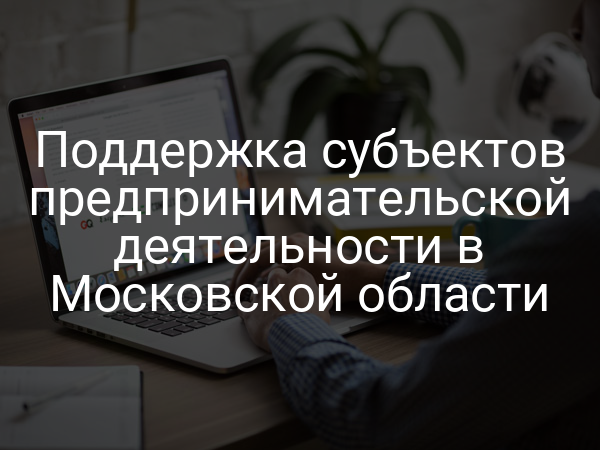 Поддержка субъектов предпринимательской деятельности в Московской области
