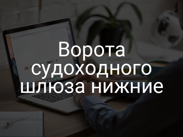 Ворота судоходного шлюза нижние