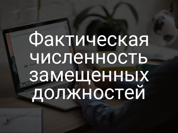 Фактическая численность замещенных должностей