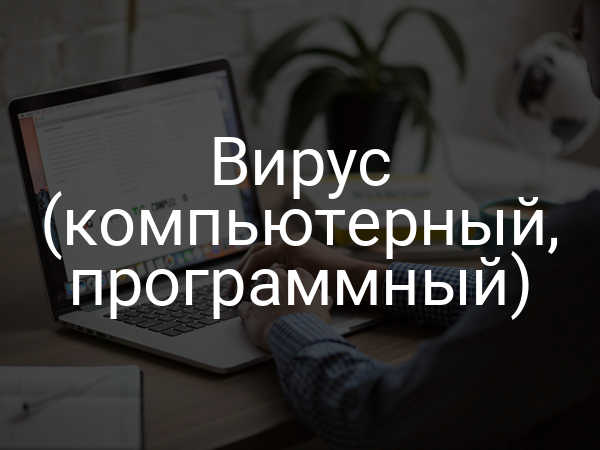 Вирус (компьютерный, программный)