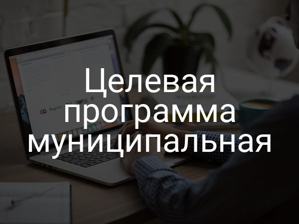 Целевая программа муниципальная