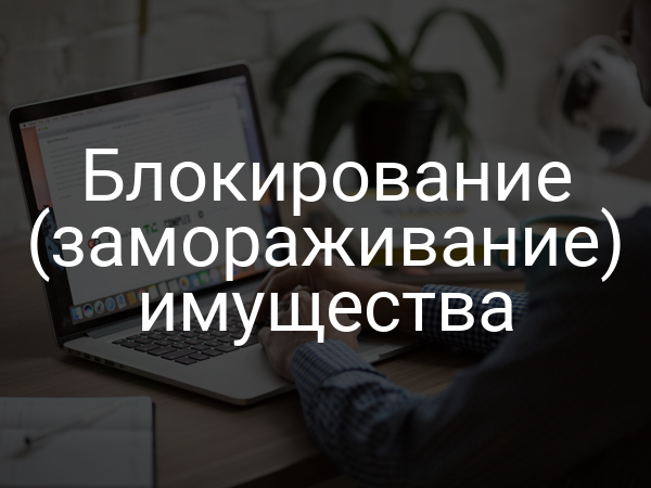 Блокирование (замораживание) имущества