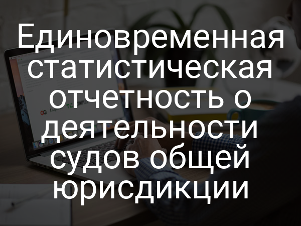 Единовременная статистическая отчетность о деятельности судов общей юрисдикции