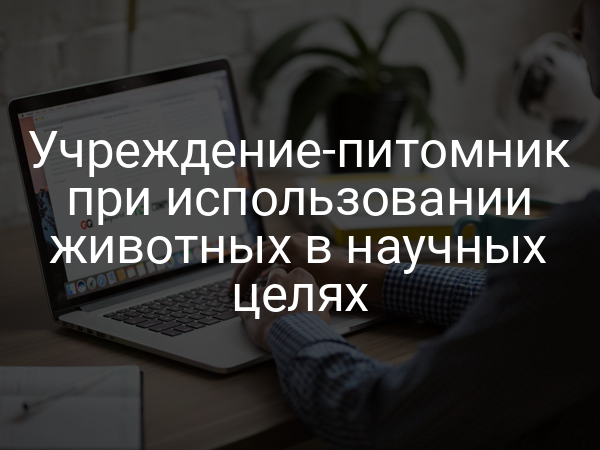 Учреждение-питомник при использовании животных в научных целях