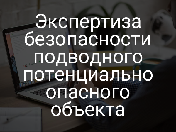 Экспертиза безопасности подводного потенциально опасного объекта