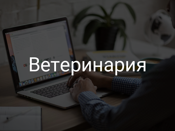 Ветеринария
