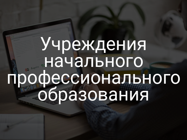 Учреждения начального профессионального образования