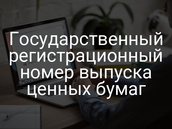 Государственный регистрационный номер выпуска ценных бумаг