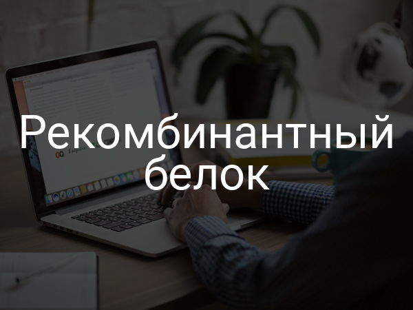 Рекомбинантный белок
